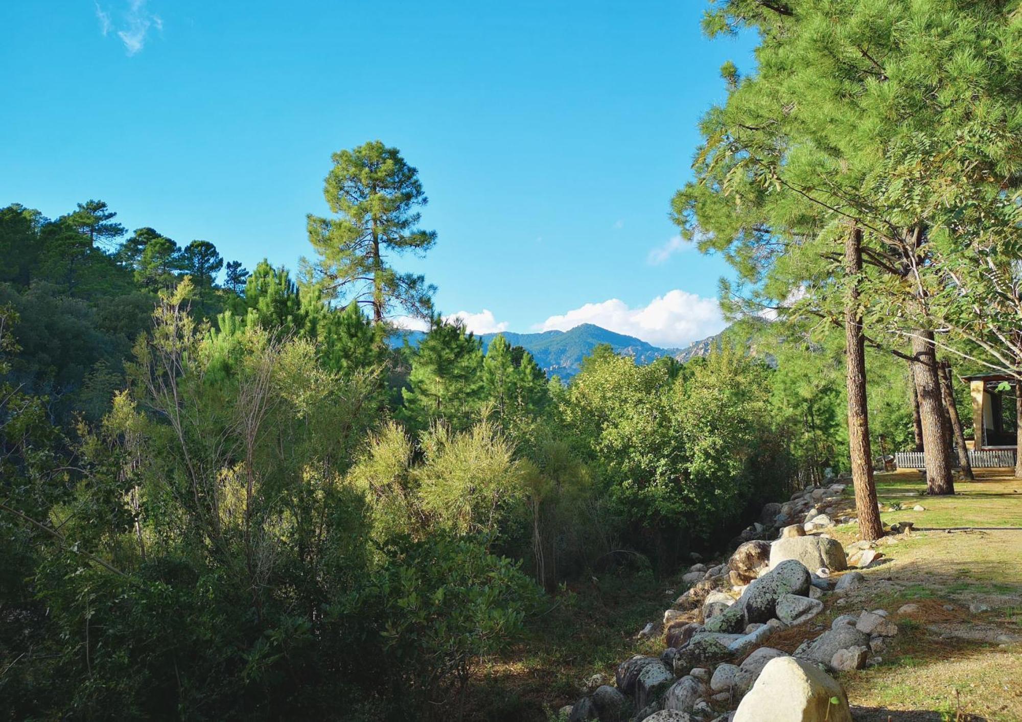 Camping Mulinacciu Lecci Exterior foto
